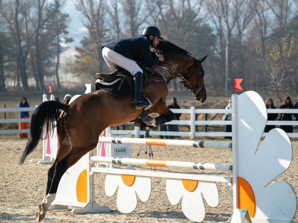 Le duel des titans : comparaison des meilleurs attaquants